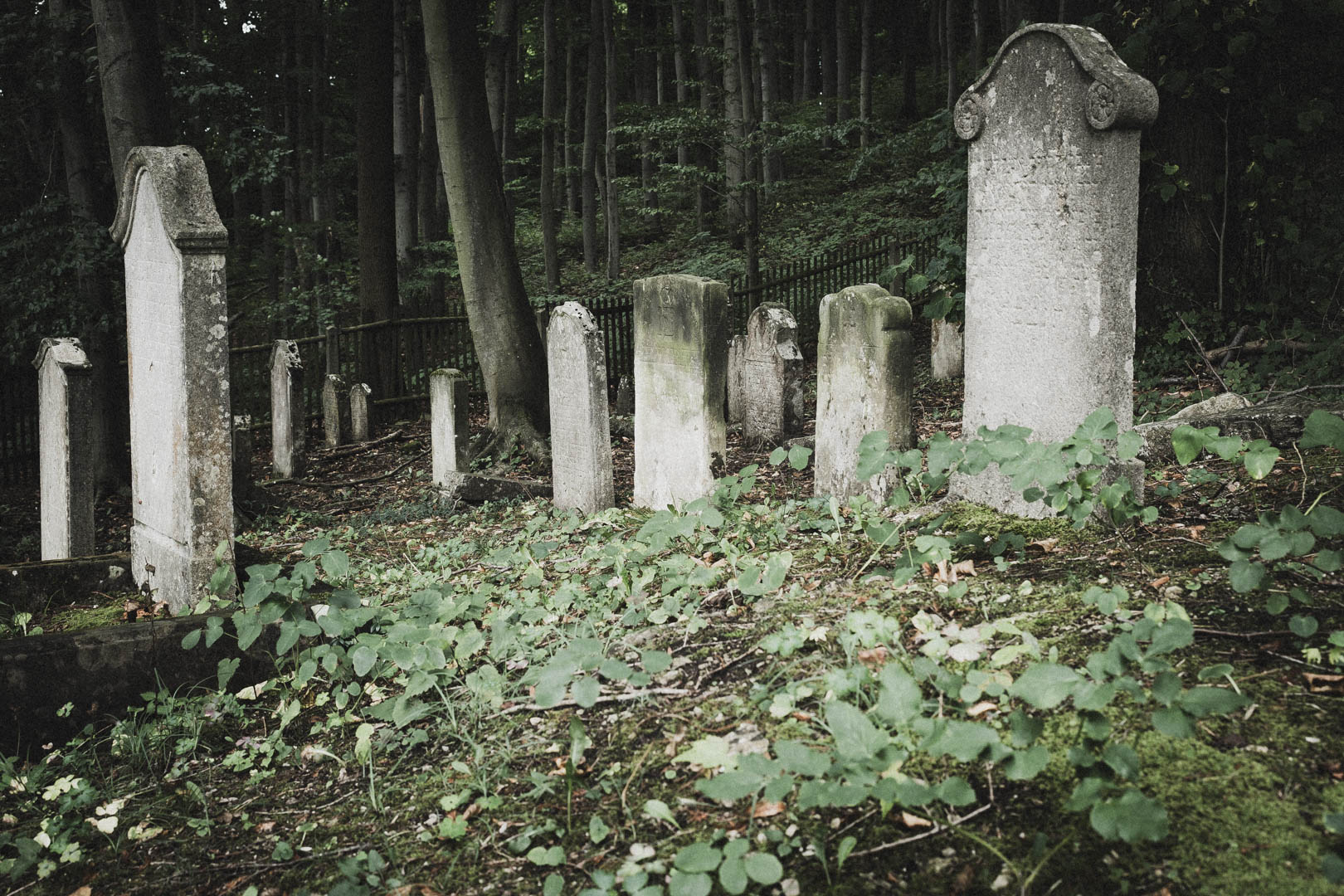 Bleicherode, Jüdischer Friedhof